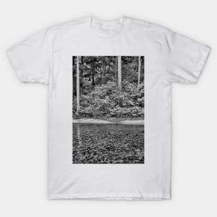 Big Thompson Canyon in Summer T-Shirt